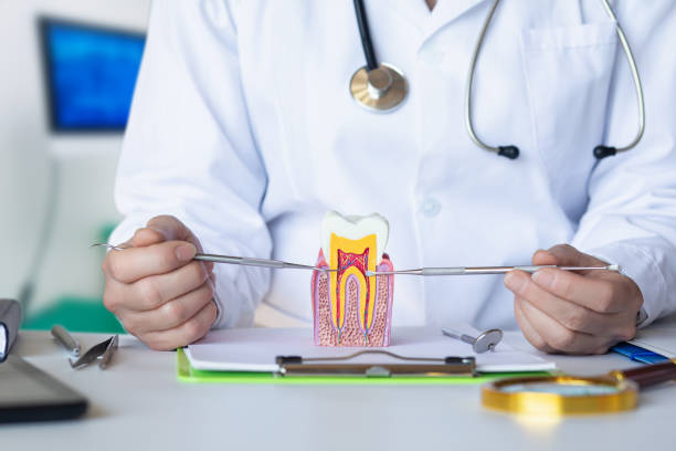 Best Knocked-Out Tooth Emergency  in Chesapeake Ranch Estates, MD